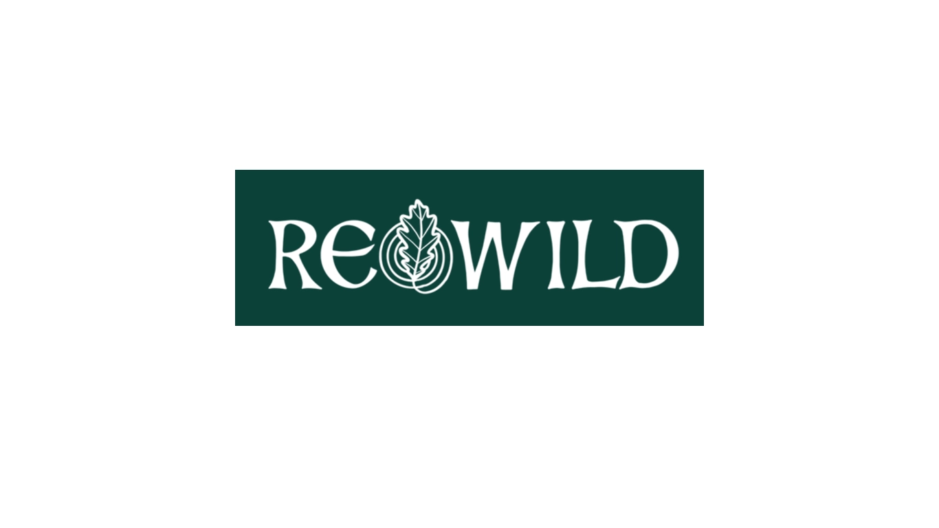 Rewild Logo