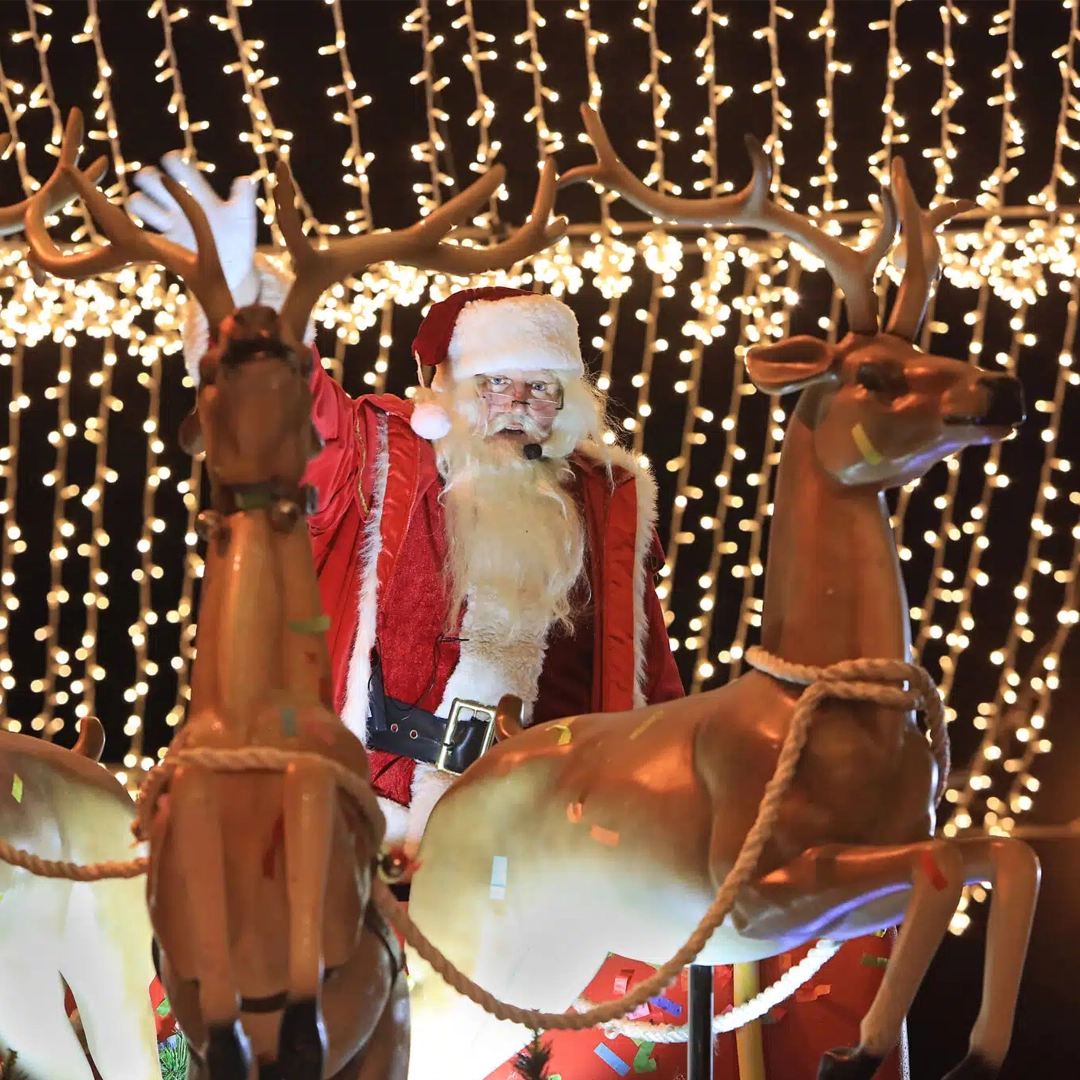 Christmas in Killarney Santa on sleigh